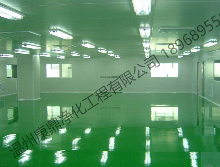 樂(lè)清凈化工程